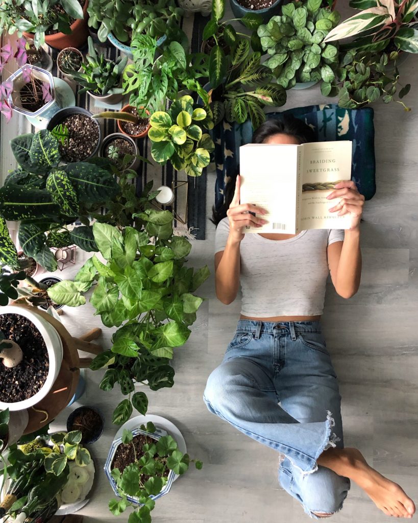Plantstagram-10-Green-Instagram-Accounts-to-Follow-for-Plant-Inspiration